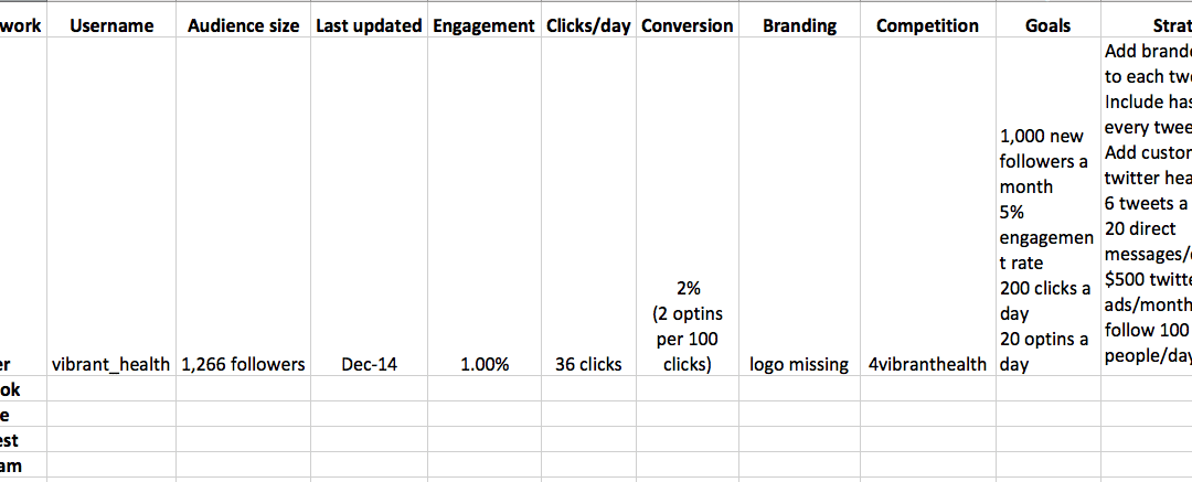 social_media_plan