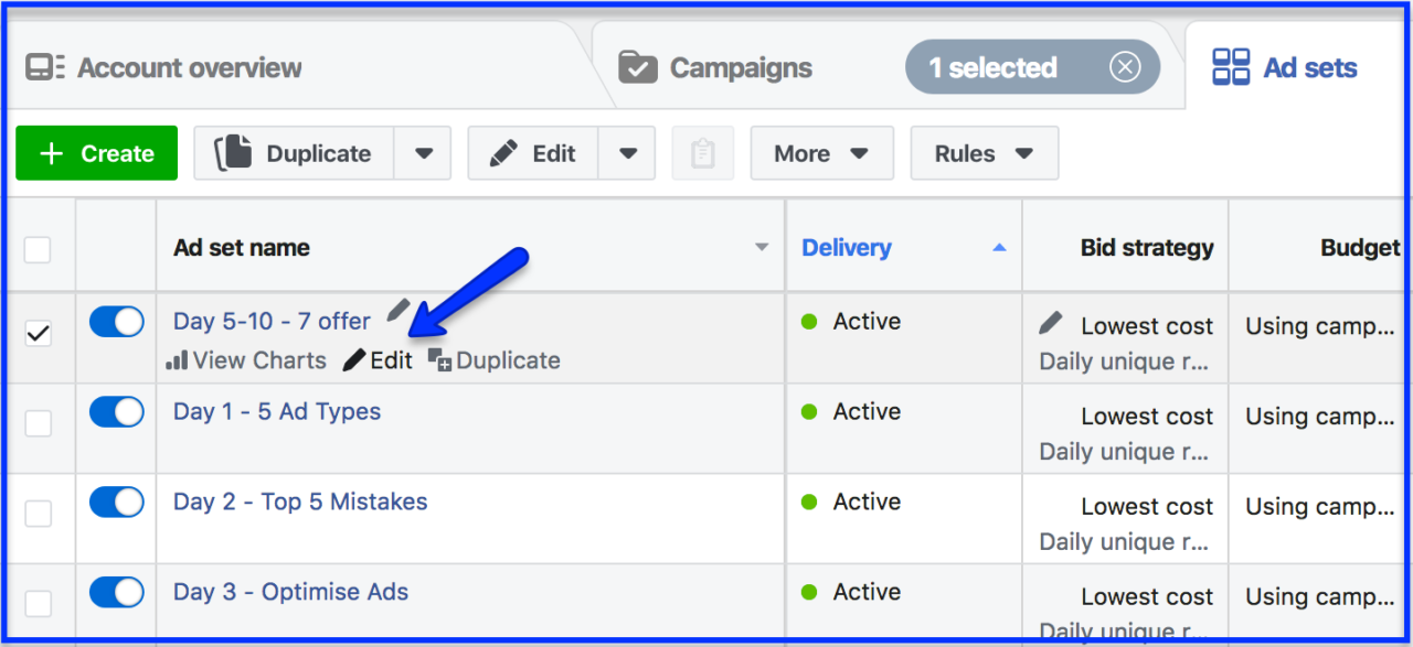 How to Effectively Scale Your Facebook Ad Campaign Social Media Worldwide